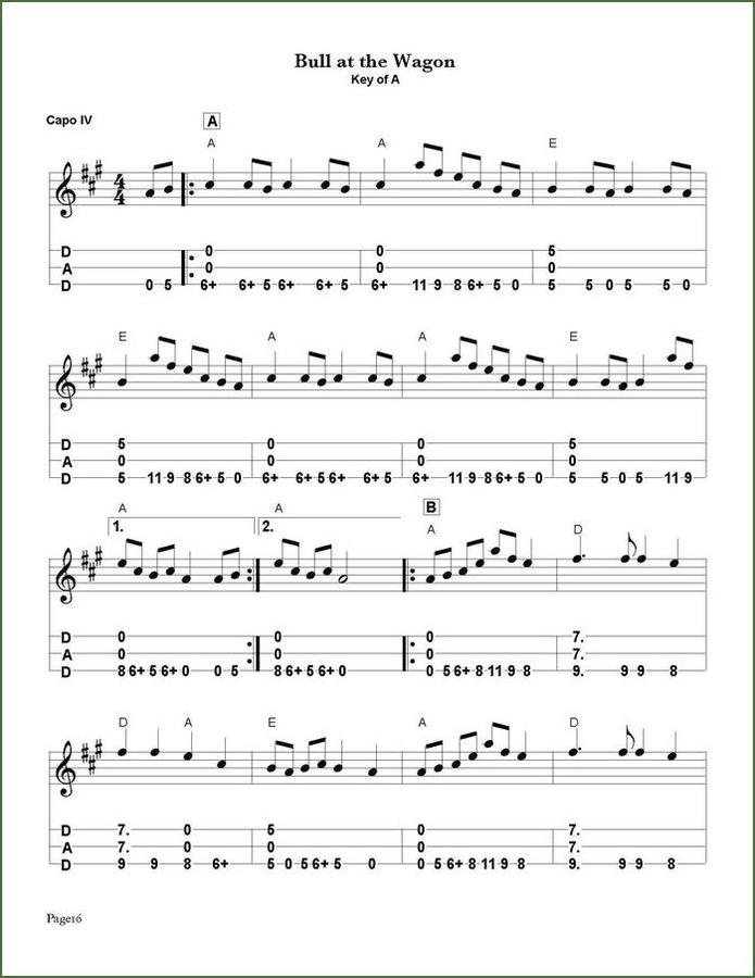 Butch Ross - 13 More Great Tunes That Seriously (Almost) Nobody Plays, mountain dulcimer songbook, photo 5