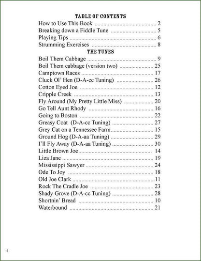 Butch Ross - All The Strings, All The Time, mountain dulcimer songbook, photo 2