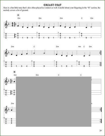 Butch Ross - All The Strings, All The Time, mountain dulcimer songbook, photo 4