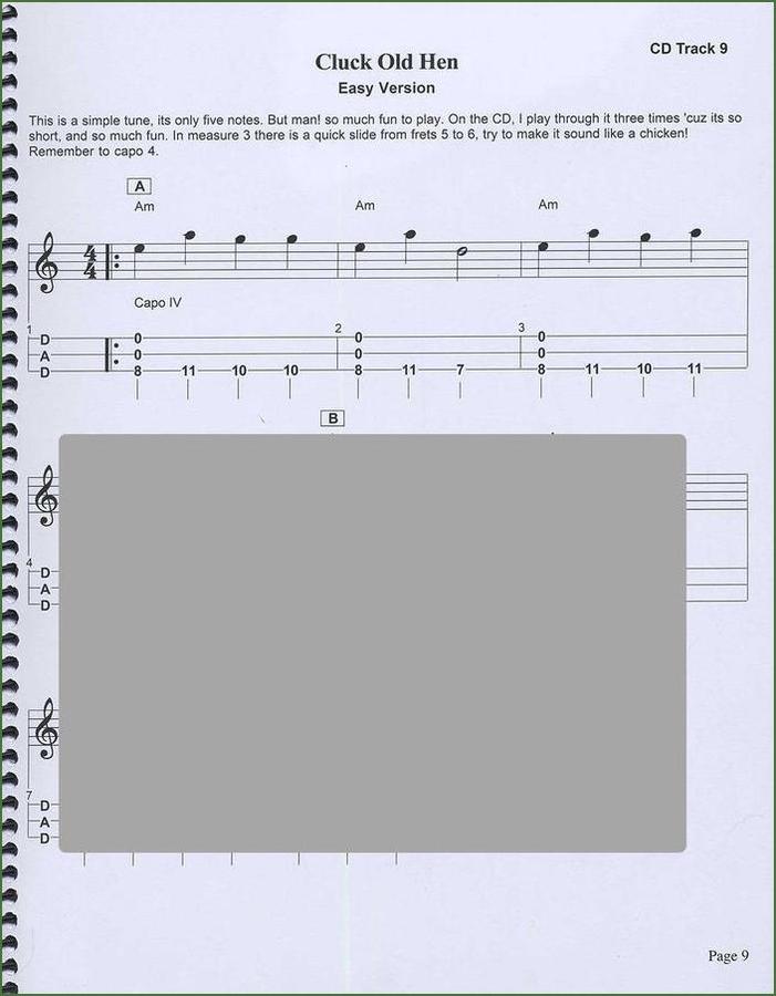 Butch Ross - Songs For Work And Play, mountain dulcimer songbook, photo 3