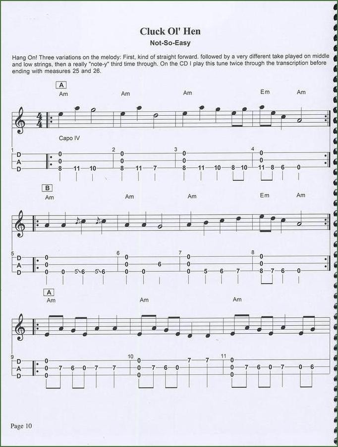 Butch Ross - Songs For Work And Play, mountain dulcimer songbook, photo 4