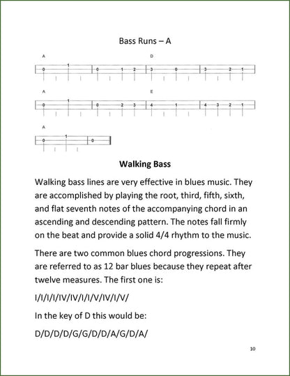 Jim Miller - Bass Dulcimer Basics, photo 3