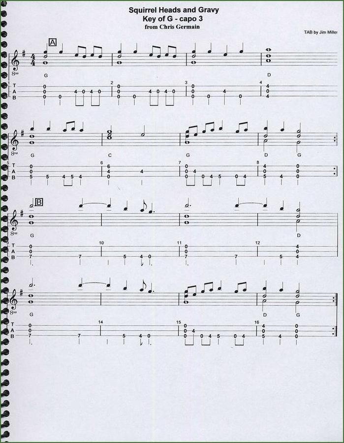 Jim Miller - Beyond D: 18 Tunes In "A" And "G", mountain dulcimer songbook, photo 4