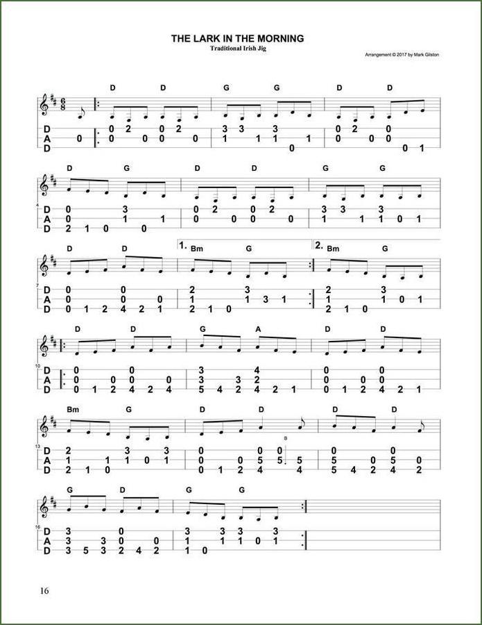 Mark Gilston - Irish Tunes For Mountain Dulcimer, Volume 1, photo 6