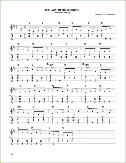 Mark Gilston - Irish Tunes For Mountain Dulcimer, Volume 1, photo 6