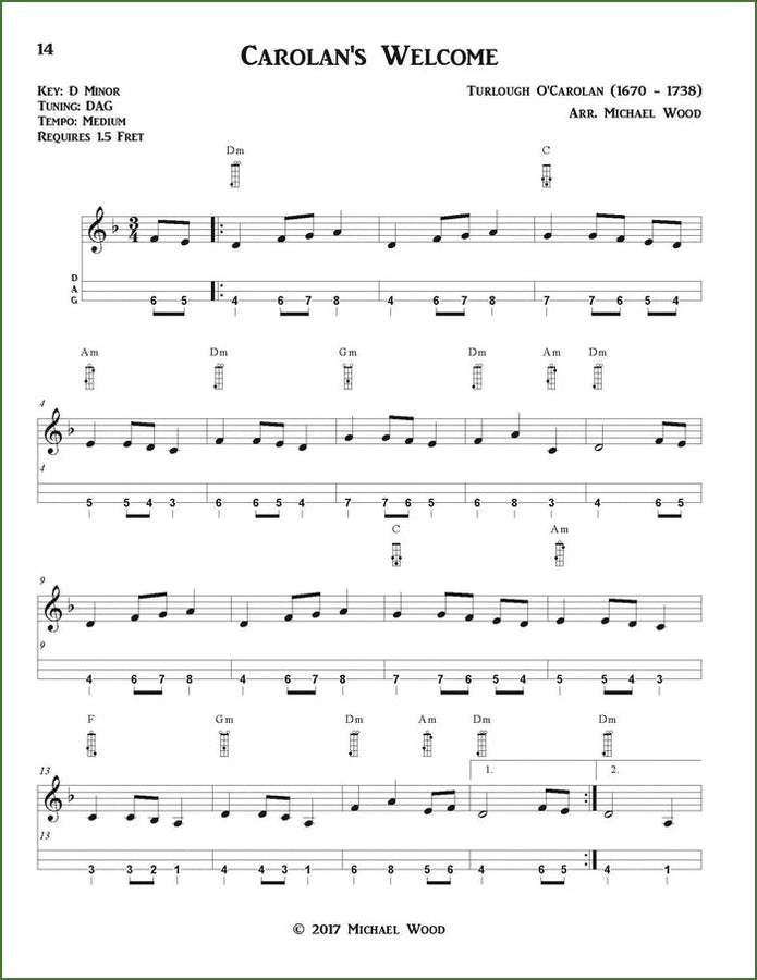 Michael Wood - Dulcimer On The Backroads: Old Time And Celtic Tunes, DAA Version, photo 6
