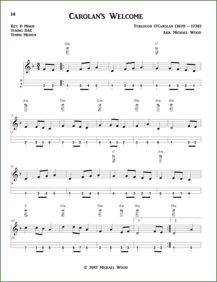 Michael Wood - Dulcimer On The Backroads: Old Time And Celtic Tunes, DAD Version, photo 6